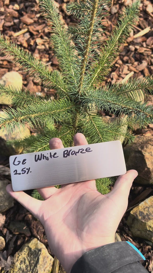 Germanium White Bronze 156x48mm by 12mm thick